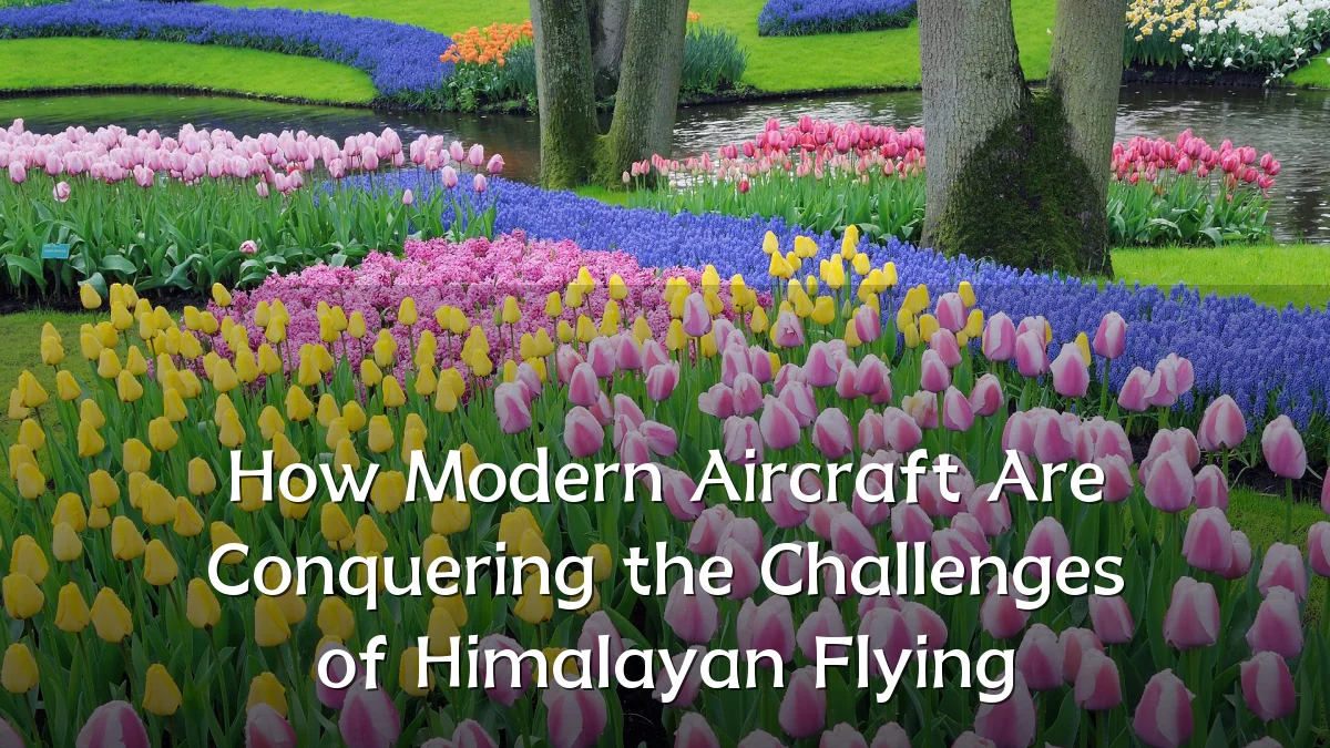 How Modern Aircraft Are Conquering the Challenges of Himalayan Flying