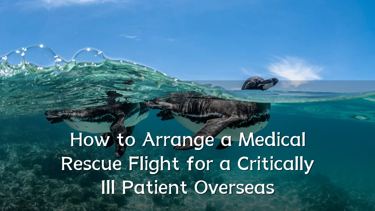 How to Arrange a Medical Rescue Flight for a Critically Ill Patient Overseas