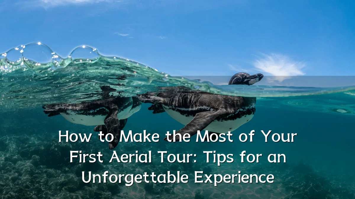 How to Make the Most of Your First Aerial Tour: Tips for an Unforgettable Experience