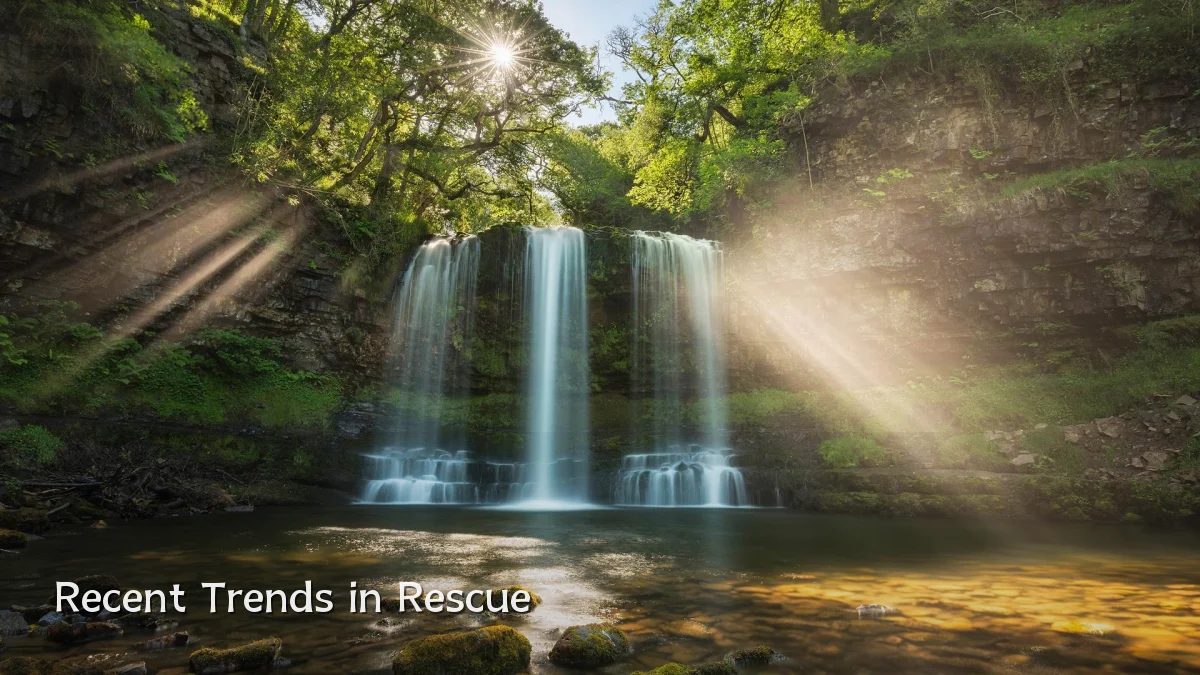 Recent Trends in Rescue