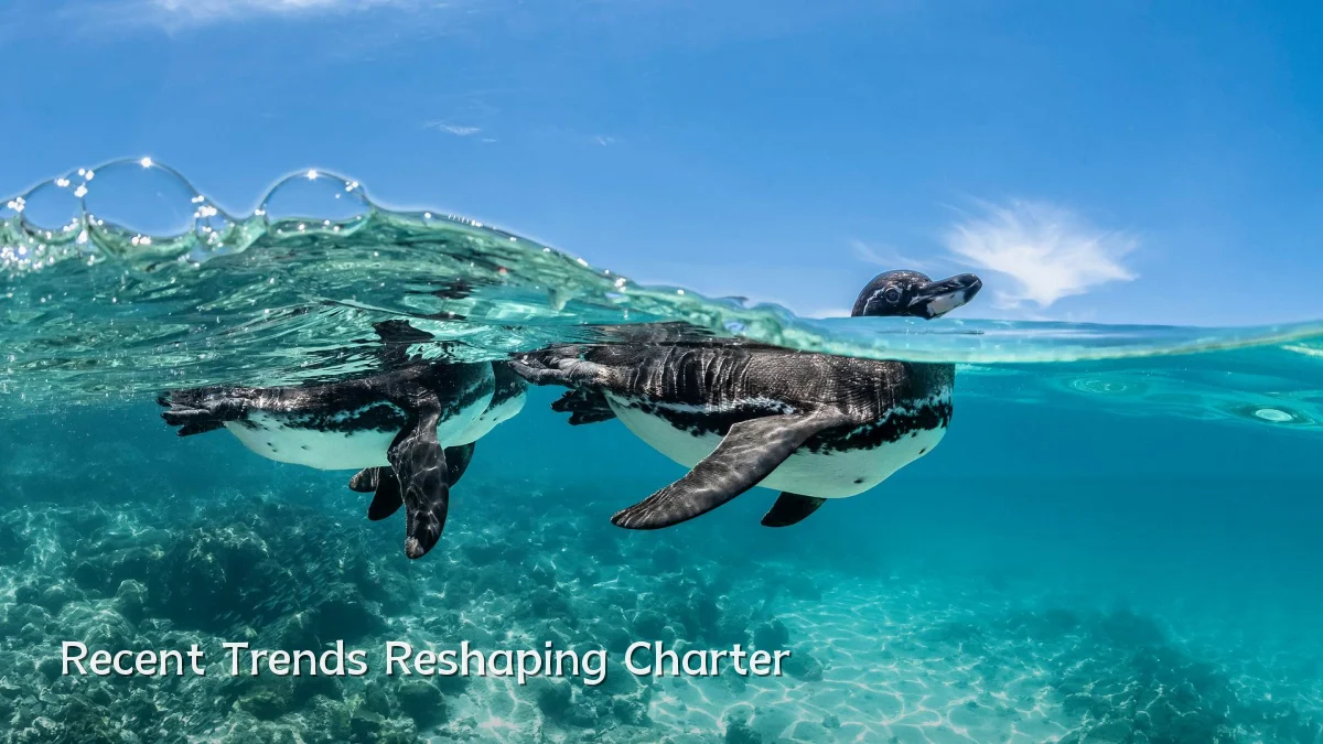 Recent Trends Reshaping Charter