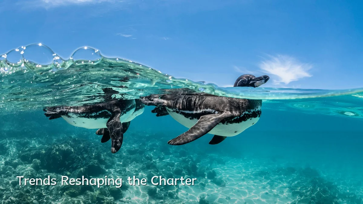 Trends Reshaping the Charter