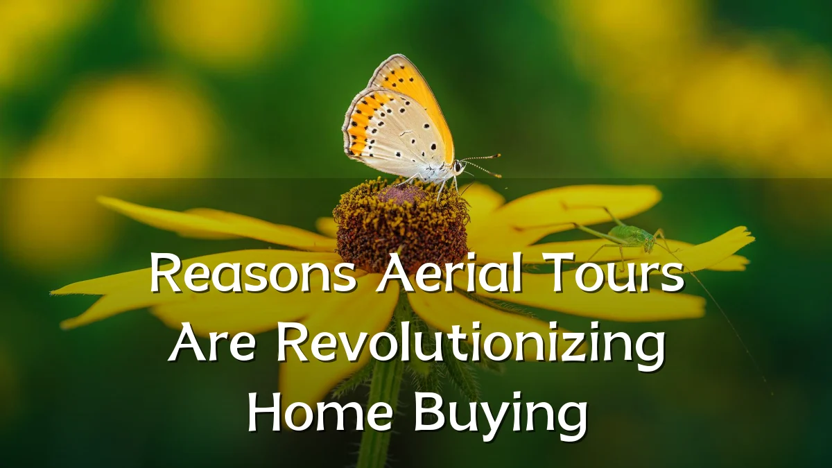 Reasons Aerial Tours Are Revolutionizing Home Buying