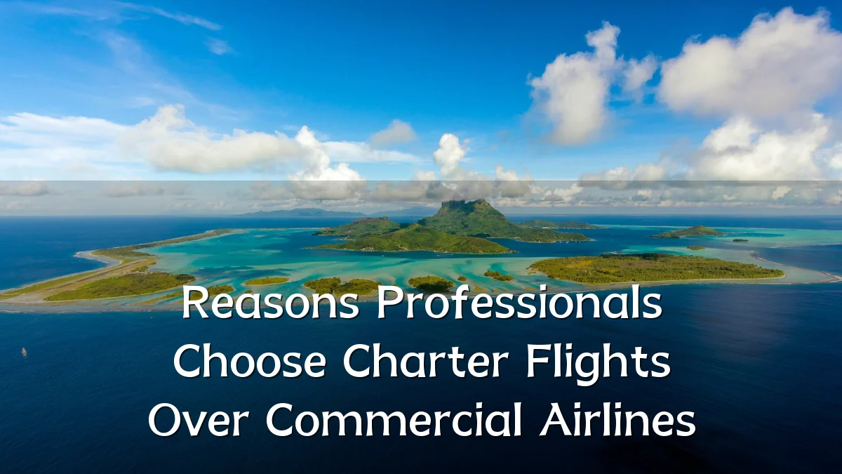 Reasons Professionals Choose Charter Flights Over Commercial Airlines