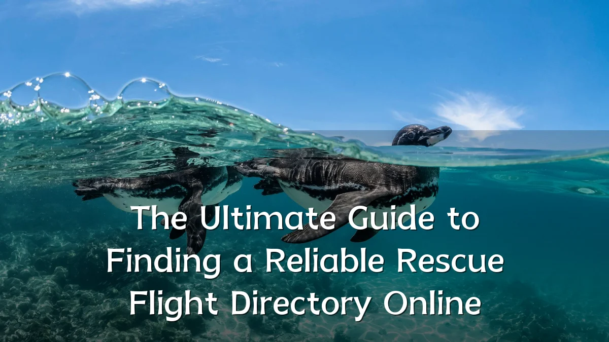 The Ultimate Guide to Finding a Reliable Rescue Flight Directory Online