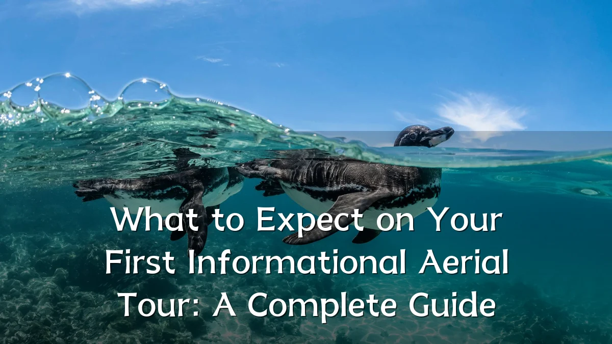 What to Expect on Your First Informational Aerial Tour: A Complete Guide