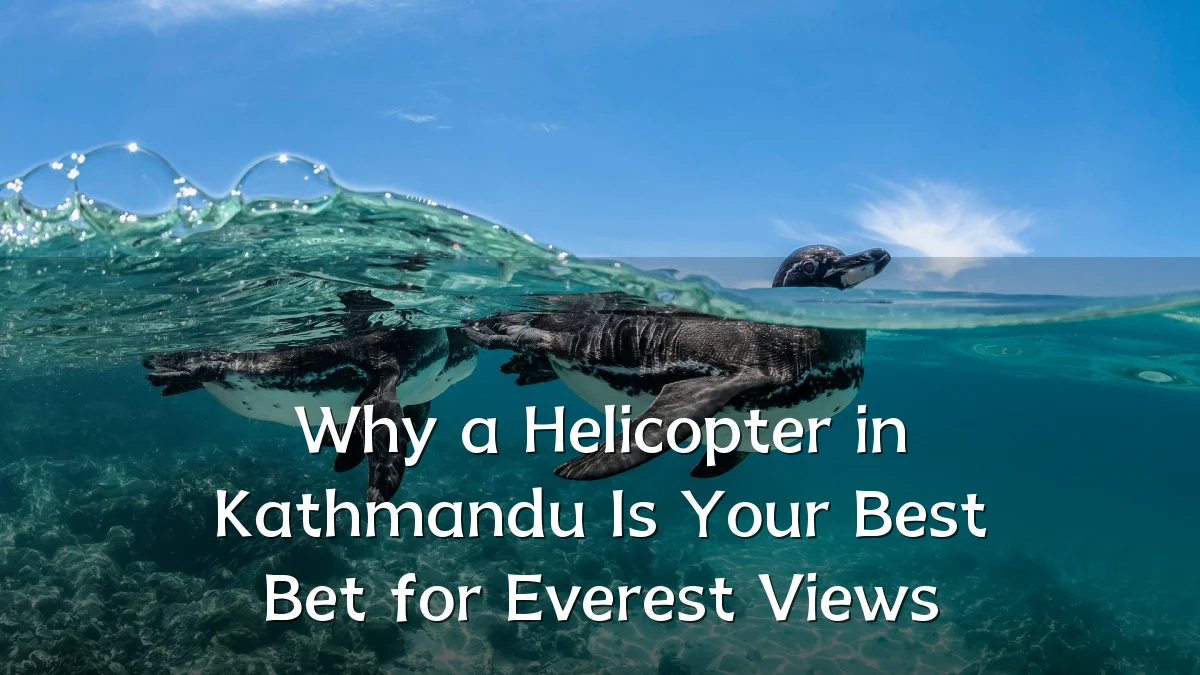 Why a Helicopter in Kathmandu Is Your Best Bet for Everest Views