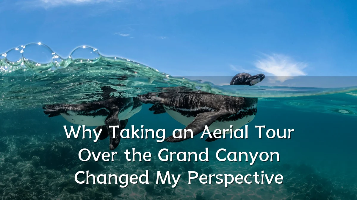 Why Taking an Aerial Tour Over the Grand Canyon Changed My Perspective
